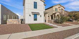 4512 Mark Avizo Gallery 1