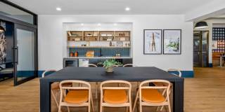 Elm at Panorama Gallery 38