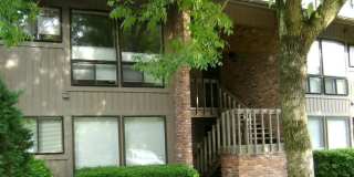 1305 Oak Tree Drive Gallery 1