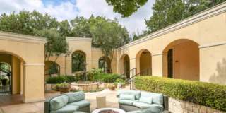 Vineyard Springs Gallery 2