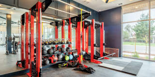 The Cameron Gallery 5