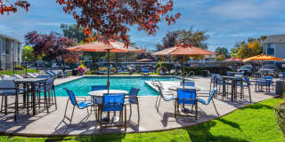 Brighton Place Gallery 7