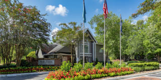 Palmetto Grove Gallery 1
