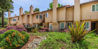 Southwood Townhomes Gallery 7
