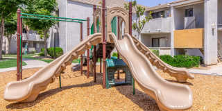 Palm Court Apartment Homes Gallery 5