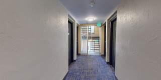 Chester Street Apartments Gallery 7