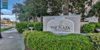 St Johns River Views! Gallery 25