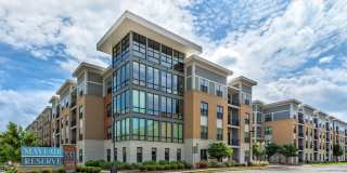 Mayfair Reserve Gallery 20