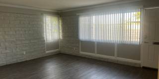 The Pines Apartments Gallery 9