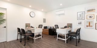 Santa Monica Palms Gallery 18