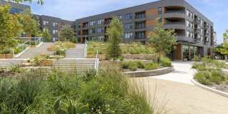 Rivette Tower Gallery 42