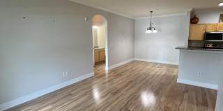 6431 Borasco Drive Gallery 12