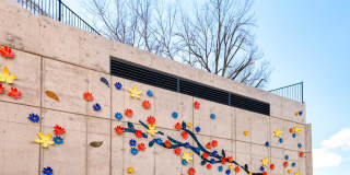 Array at West Alex Gallery 7