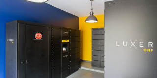 Alvista Bowie Gallery 30