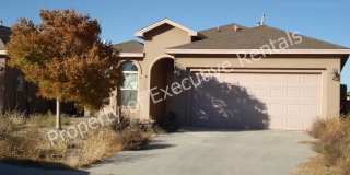 4941 Chesney - Gorgeous 3 Bedroom Home off of Mesa Grande! Gallery 1