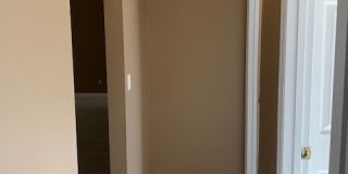 7817 Laurel Oak Ln Gallery 22