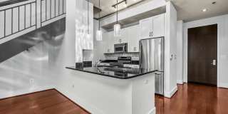 520 JOHN CARLYLE Street Gallery 19