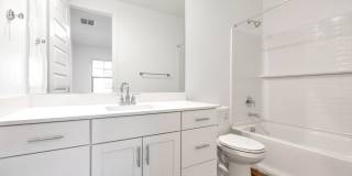 Brand New luxurious Model Home with 2 Master Suites in Warner Meadow Gallery 15