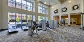 The Circuit Gallery 49