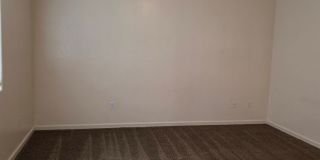 11805 Holabird Ave. -House Gallery 11