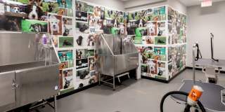 Park 35 on Clairmont Gallery 25