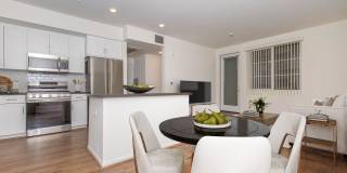 Vineyards Gallery 164