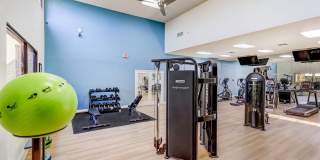 Desert Ridge Gallery 6