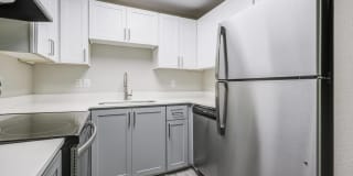 Avana Evergreen Gallery 19