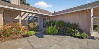 663 Spring Lane Gallery 5