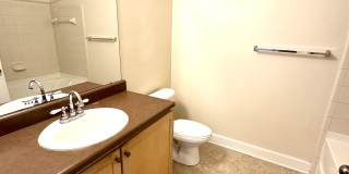 6461 Borasco Dr Gallery 12