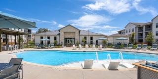 2200 TX-195 Gallery 1