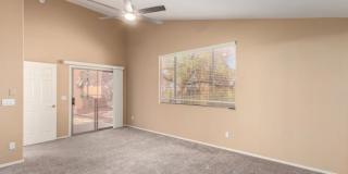 11087 North Desert Flower Drive Gallery 15