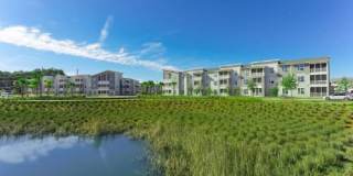 The Lofts at Wildlight Gallery 12