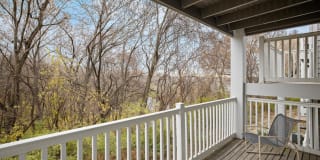 Hampton Woods Gallery 13