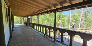 Wooded Retreat, Wildlife Galore Gallery 1