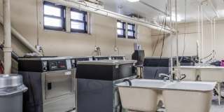 The Van Dyke in West Village Gallery 77