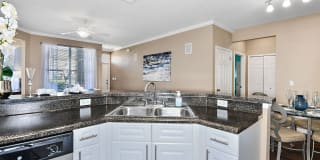 Park Central Gallery 7