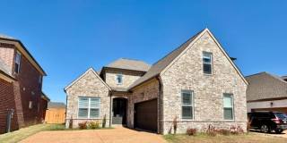9742 Ryder Springs Drive Gallery 1