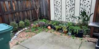 6436 Brando Loop Gallery 23