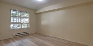 Downtown Bellevue One Bedroom One Bath Condo Available! Downtown Bellevue One Bedroom One Bath Condo Available! Gallery 9
