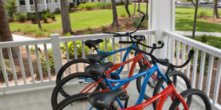 Element Carolina Bay Element Carolina Bay Gallery 41