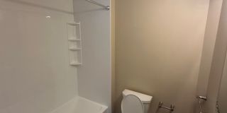 293 Dartmouth St Gallery 12