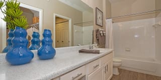 The Falls Round Rock Gallery 65