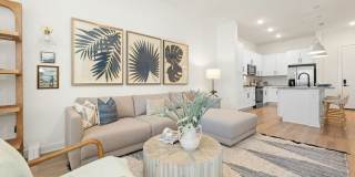 Olea eTown Gallery 10