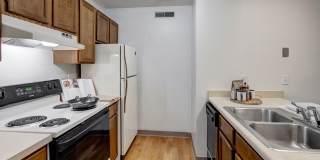 Russian Jack Gallery 9