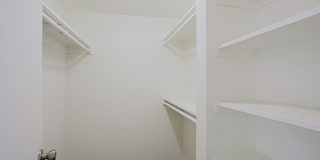 Paloma Village Gallery 12