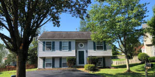 42861 GENUINE REWARD Court Gallery 1