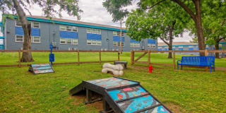 The Canvas Gallery 25