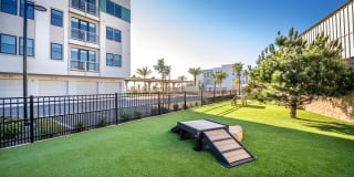 Coastline Ventura Gallery 28