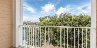 RIZE at Winter Springs Gallery 101